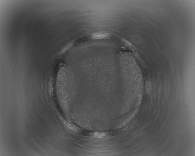 X0000082680570200702161701