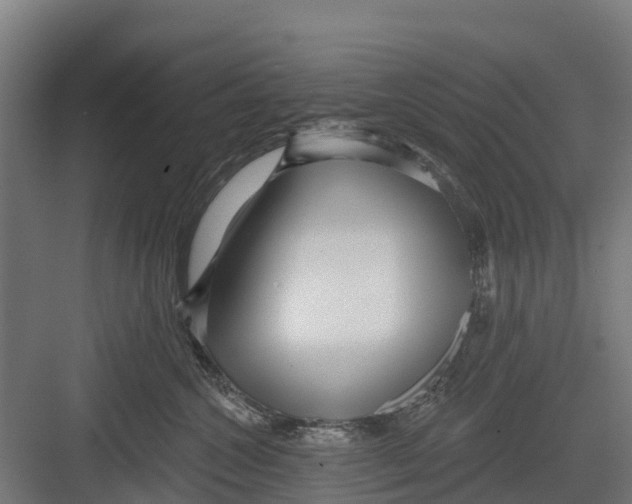 X0000082680572200702161701