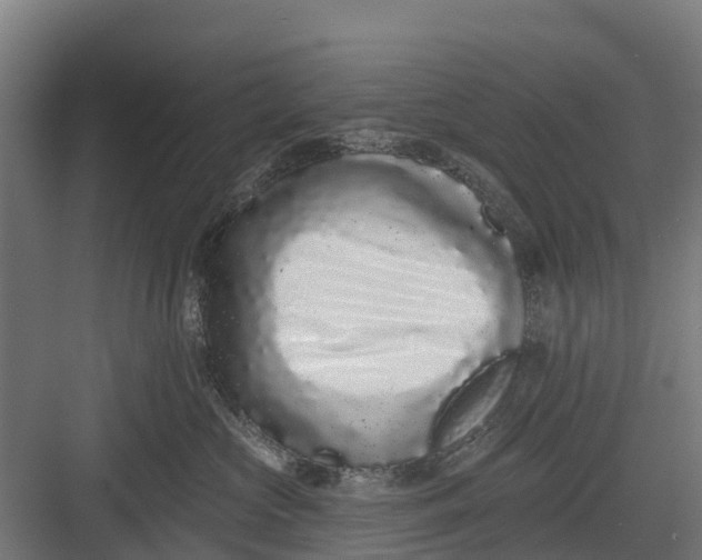 X0000082680573200702161701