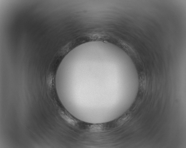 X0000082680574200702161701