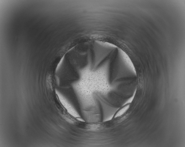 X0000082680575200702161701