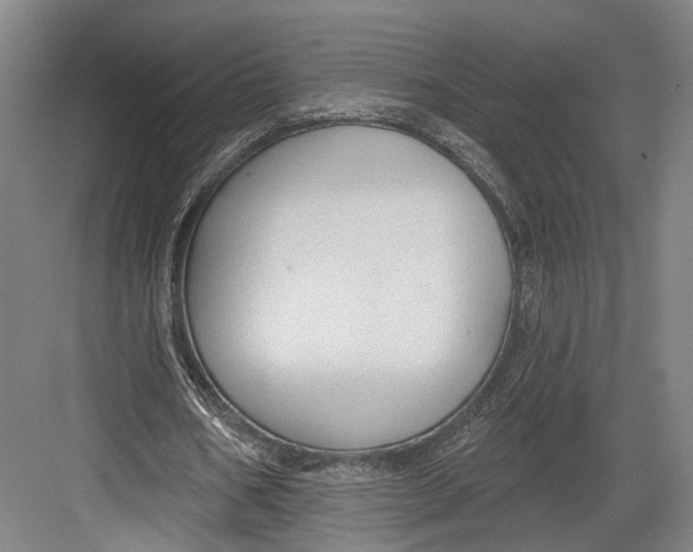 X0000082680578200702161700