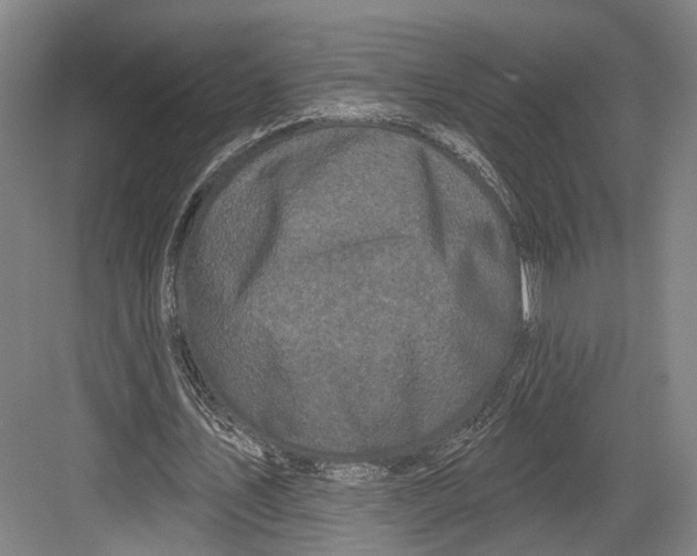 X0000082680579200702161700