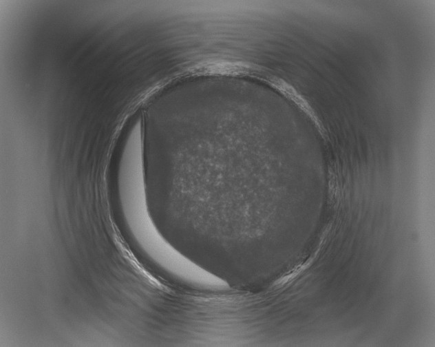 X0000082680581200702161700