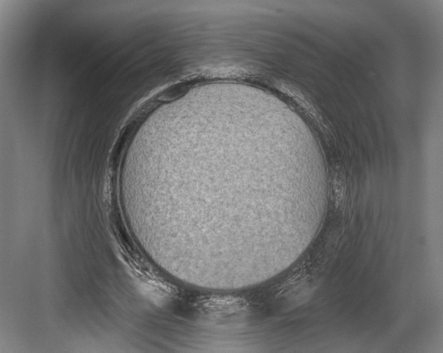 X0000082680583200702161700