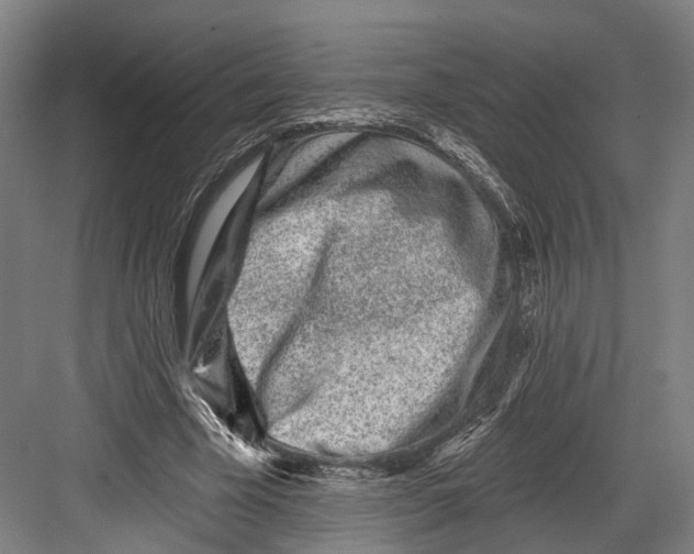 X0000082680585200702161700