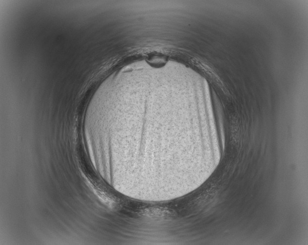 X0000082680586200702161700