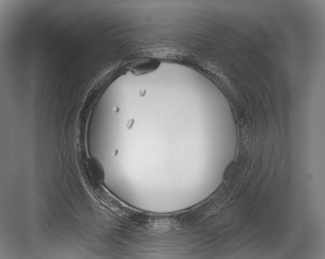 X0000082680587200702161700