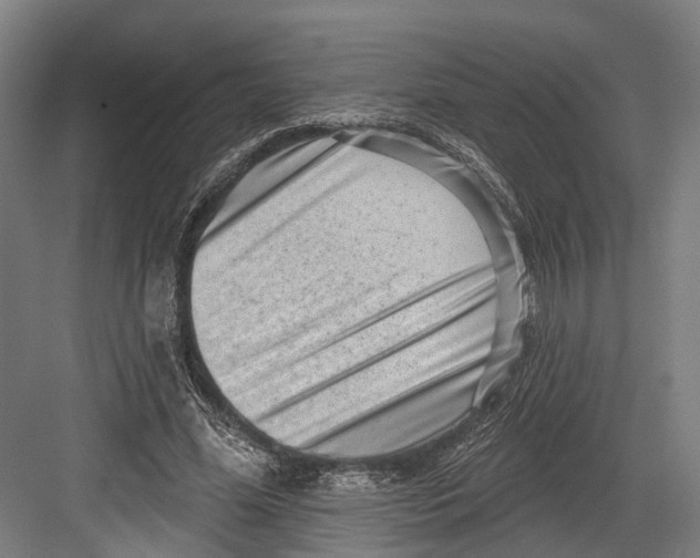 X0000082680588200702161700