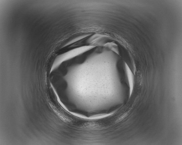 X0000082680589200702161700