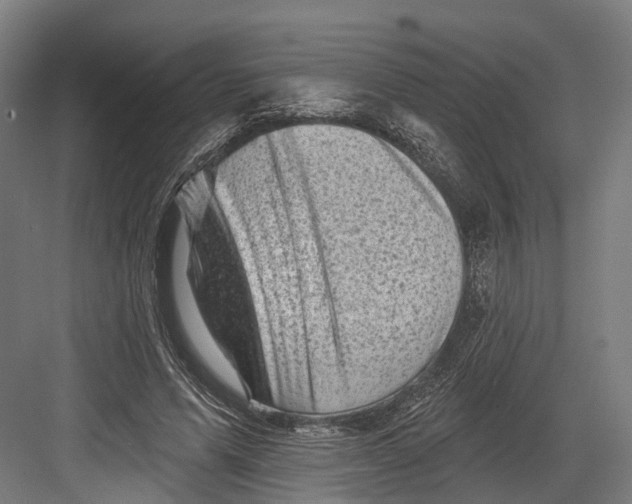 X0000082680591200702161700