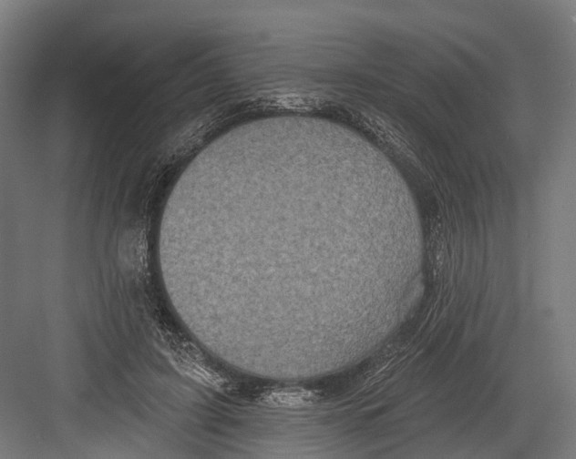 X0000082680595200702161700