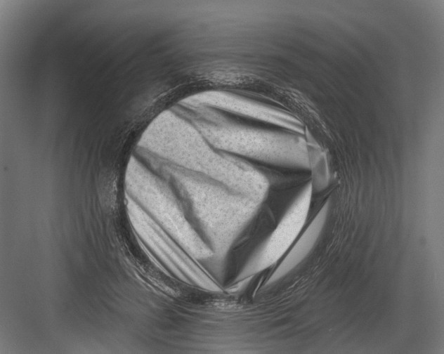 X0000082680596200702161700