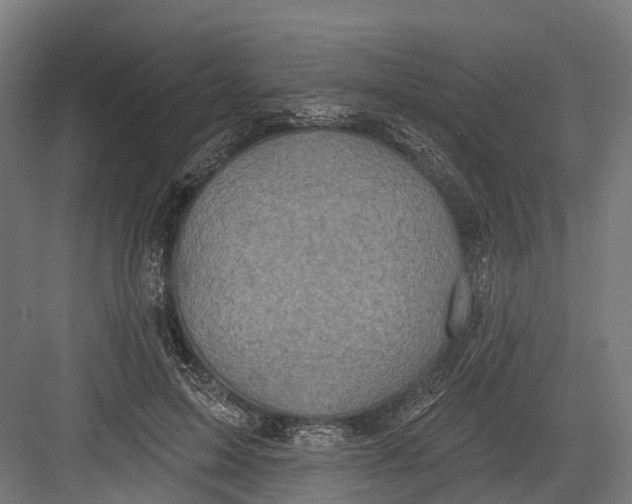 X0000082680599200702161700