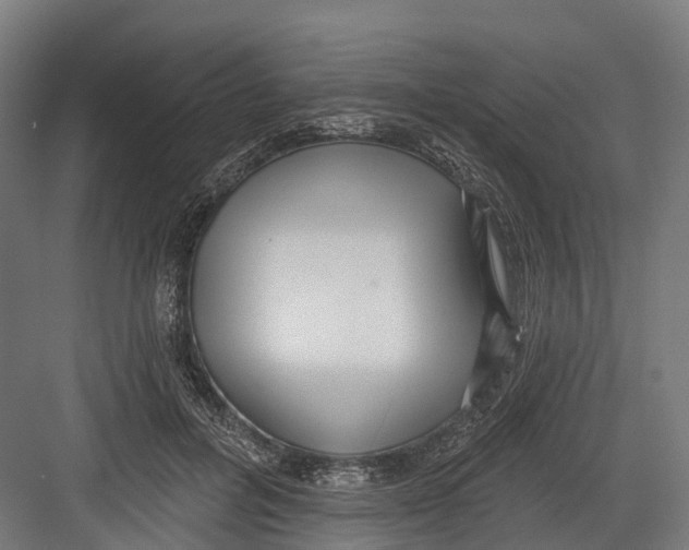 X0000082680600200702161700