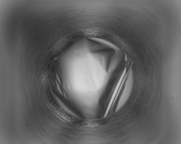 X0000082680601200702161700