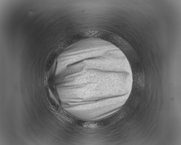 X0000082680602200702161700