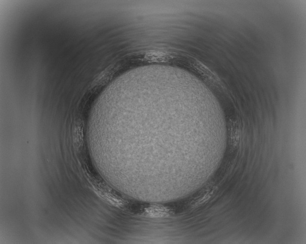 X0000082680603200702161700