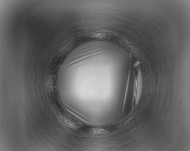 X0000082680605200702161700