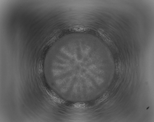 X0000082680606200702161700