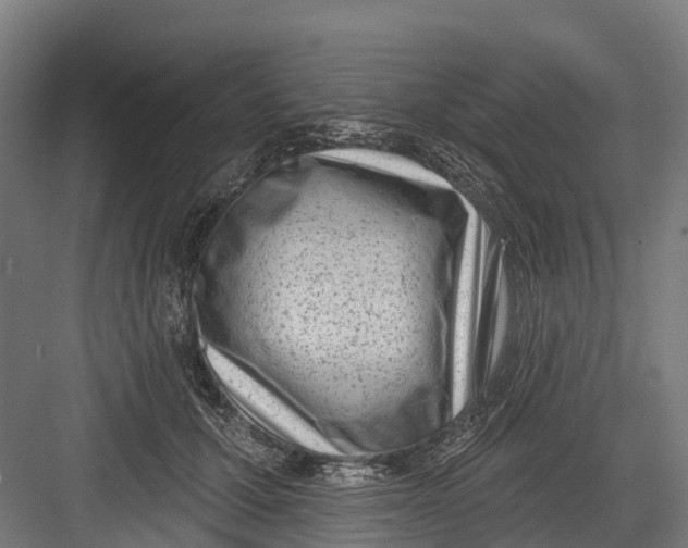 X0000082680607200702161700