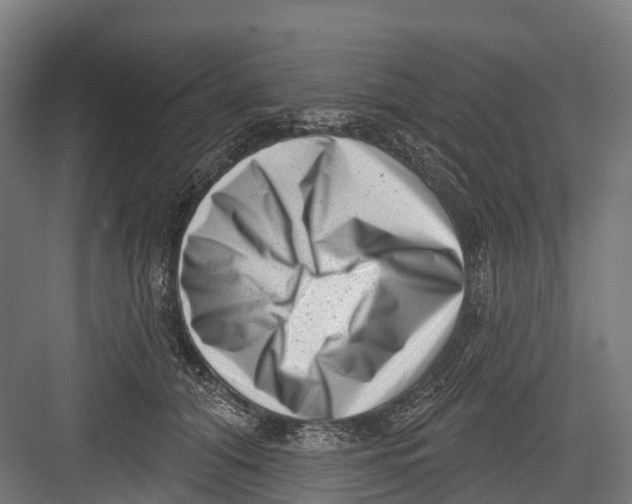 X0000082680608200702161700