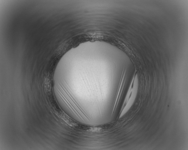 X0000082680609200702161700