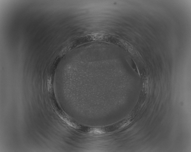 X0000082680610200702161700