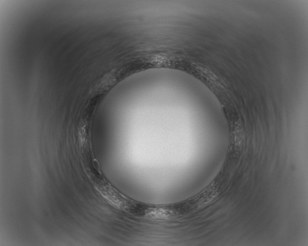 X0000082680611200702161700