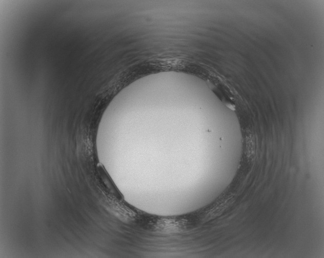 X0000082680613200702161700