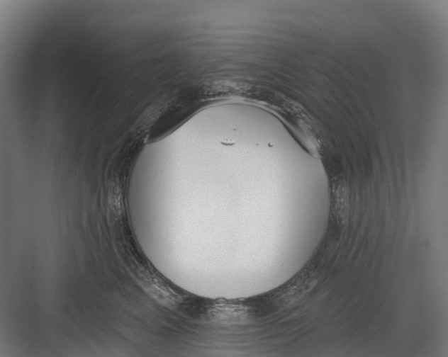 X0000082680617200702161700