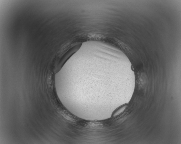 X0000082680619200702161700