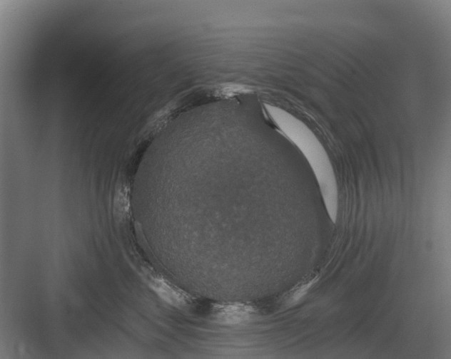 X0000082680621200702161700