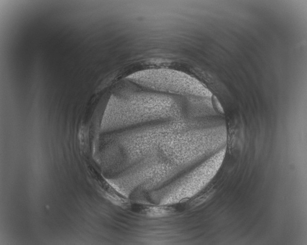 X0000082680623200702161700