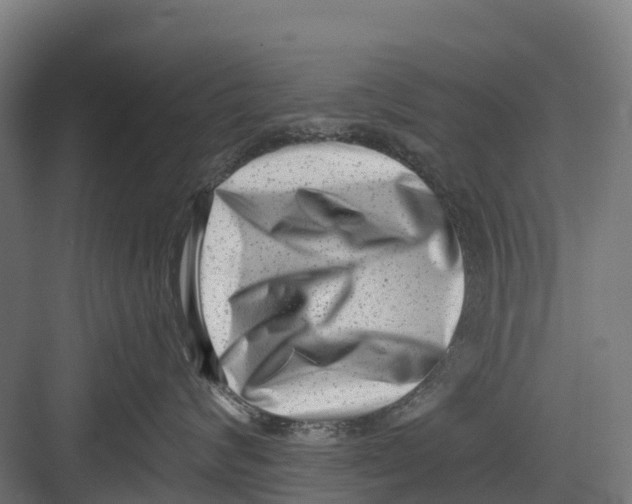 X0000082680624200702161700