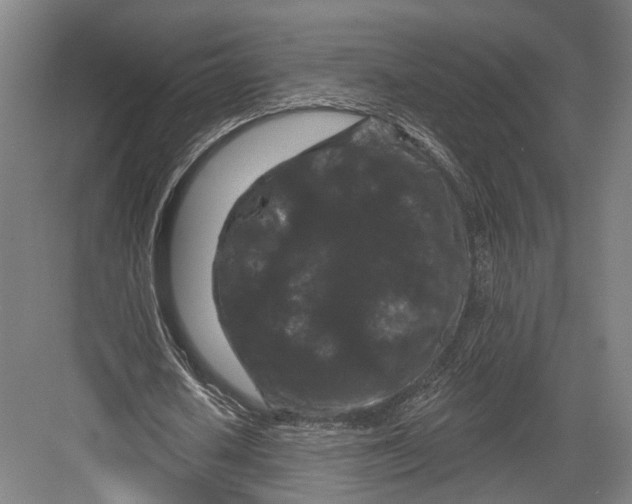 X0000082680626200702161659