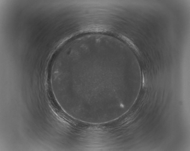 X0000082680627200702161659