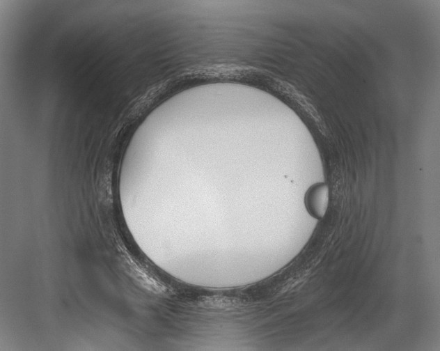 X0000082680633200702161659