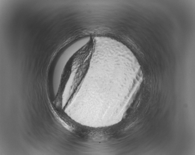 X0000082680634200702161659