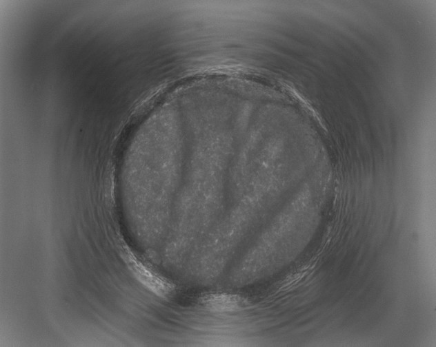 X0000082680637200702161659