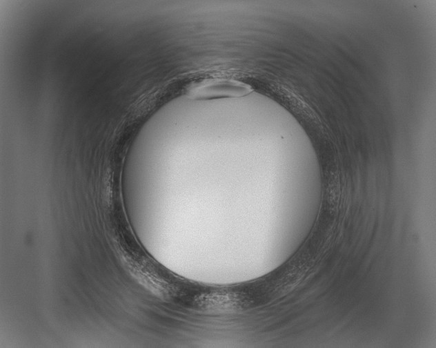 X0000082680639200702161659