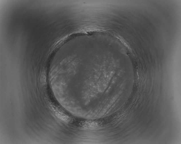 X0000082680640200702161659