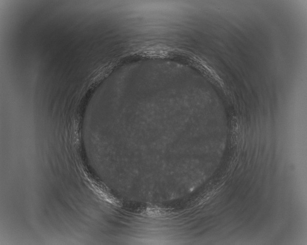 X0000082680641200702161659