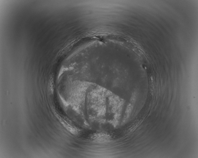 X0000082680644200702161659