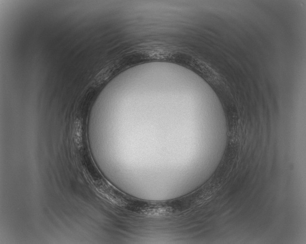 X0000082680646200702161659