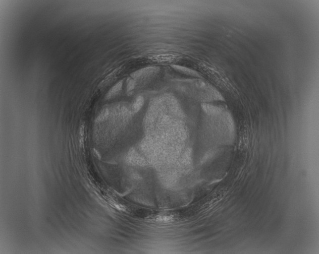 X0000082680647200702161659