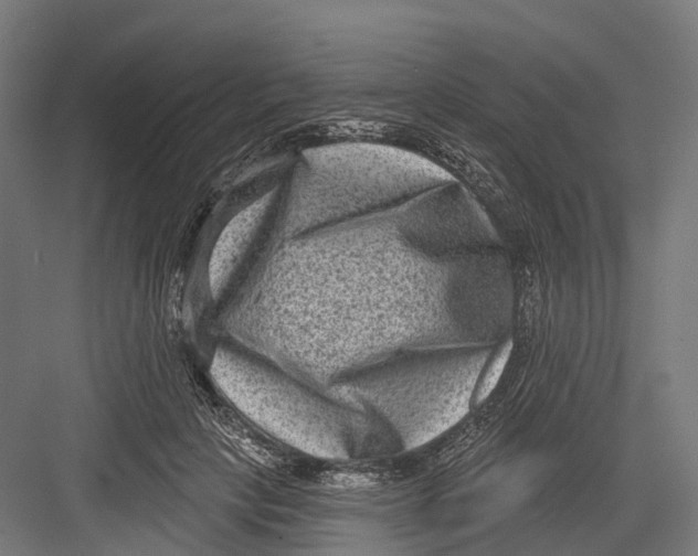 X0000082680649200702161659