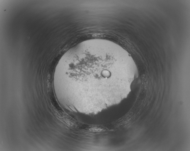 X0000082680650200702161659