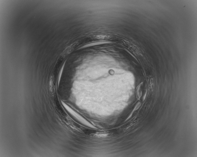 X0000082680651200702161659