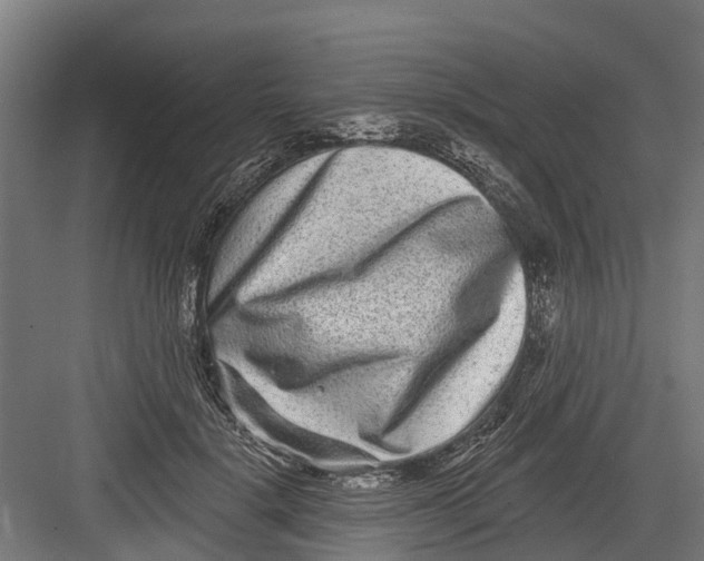 X0000082680652200702161659